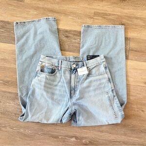 American Eagle Curvy Baggy Straight Jean
